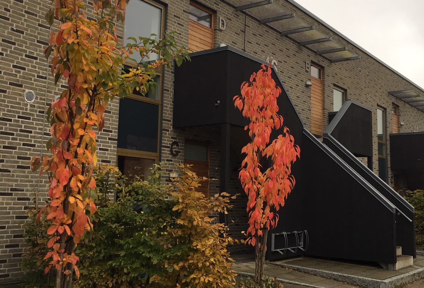 Edwin Berlings gata 44C